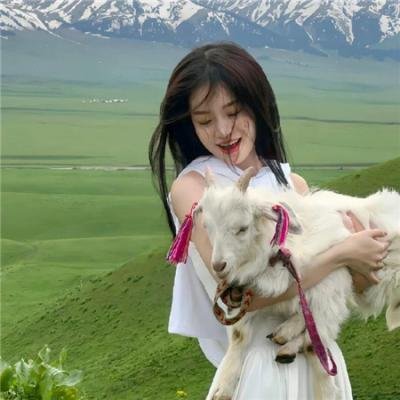 好汉两个半第十季 在线观看