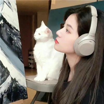 交友网战 在线观看